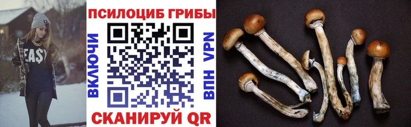 что такое   KRAKEN зеркало  Псилоцибиновые грибы Magic Shrooms  Бронницы 